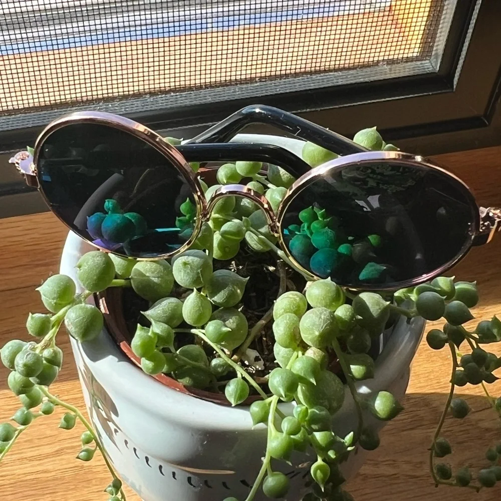 Fashion AVIATOR Pet Eye Glasses - Picture 6 of 7